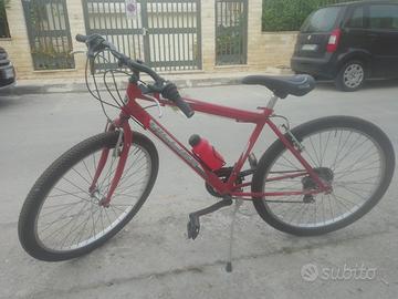 bici mountain bike Villier