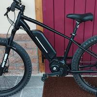 Bicicletta elettrica