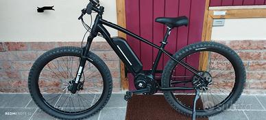 Bicicletta elettrica