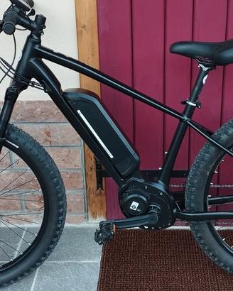Bicicletta elettrica