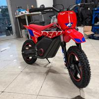 Minimoto Elettrica Warrior SX-E250