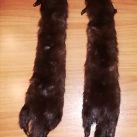 Collo di pelliccia di martora