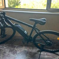 Bicicletta Elettrica