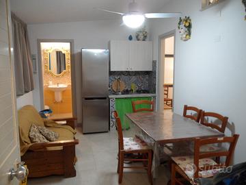 Bilocale appena ristrutturato