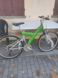 Mountain Bike Pianfarina