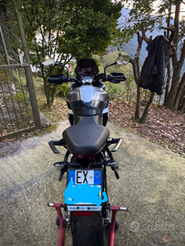 Tiger Sport 660