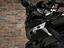 Immagine 11