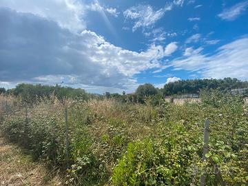 Terreno Agricolo Ad Ottava - Sassari