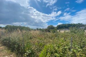 Terreno Agricolo Ad Ottava - Sassari