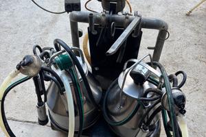 Macchina mungitrice per bovini