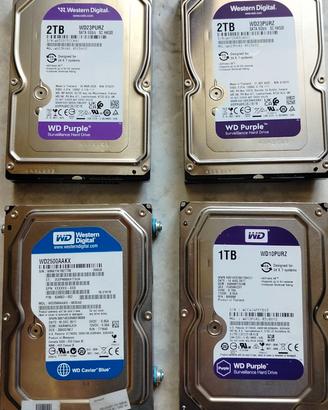 hard disk meccanico purple