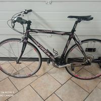 bicicletta viner in carbonio 