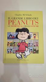 Peanuts Anni '60