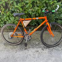 Mountain bike Pinarello - NUOVA