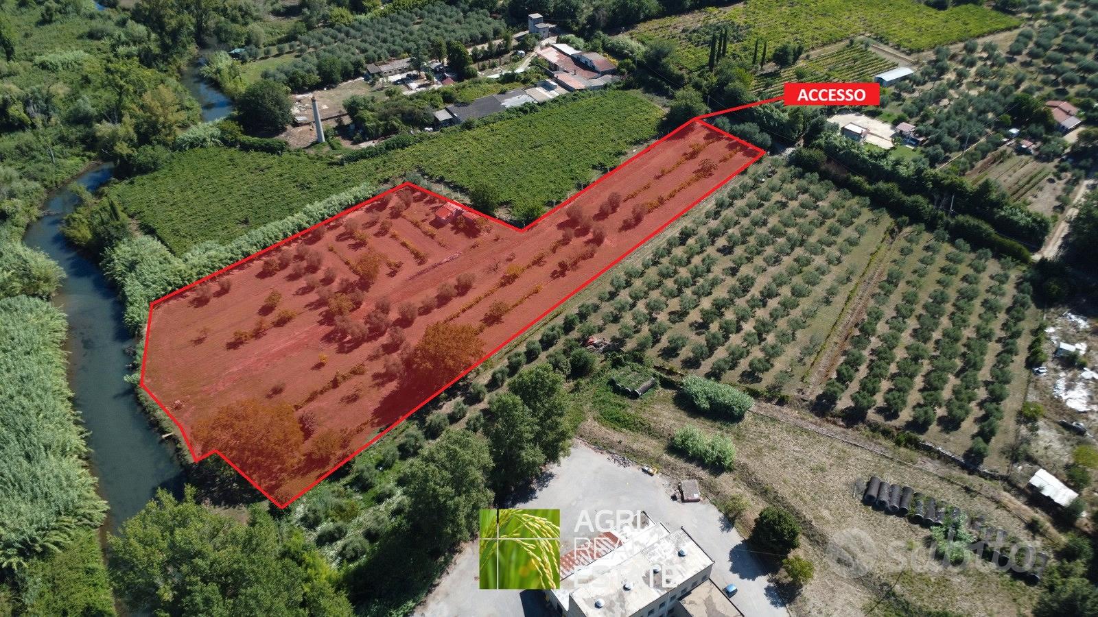 Terreno agricolo 1 HA fronte strada vicino Ninfa - Vista 2