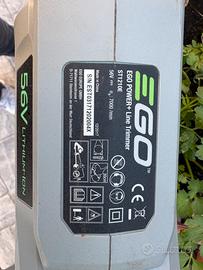 Line Trimmer ego bordatore