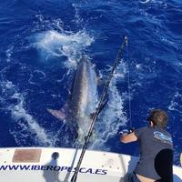 Avventure di pesca alle Isole Canarie e Andalusia