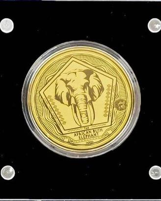 Moneta oro puro .999 - serie Big Five "Elefante"