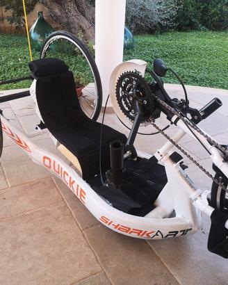 HANDBIKE RGK Shark RT