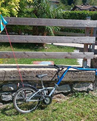 cammellino per bicicletta/MTB da 29 pollici 