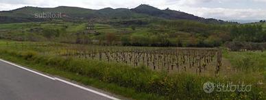 Terreno Agricolo: Vigneto - Uliveto- Sem.- Irriguo