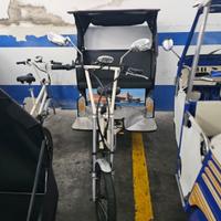Risciò elettrico
