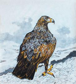 Dipinto " l' aquila reale" paolo Grossetto