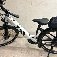 Ebike