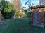 Immagine 15
