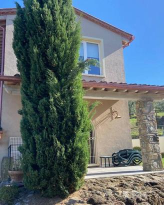 Villa di 300 m² con più di 5 locali e box auto dop