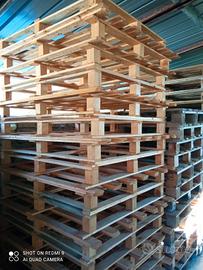 PEDANE ECO PALLET 