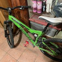 Bici da downhill