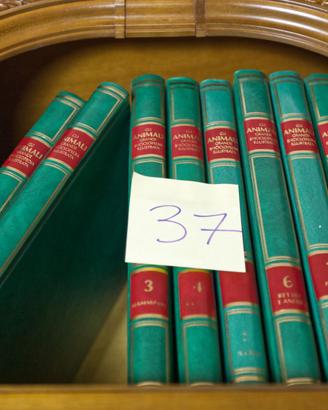 Enciclopedia degli animali