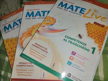 Libro matematica scuola media