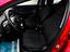 Immagine 8