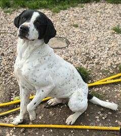 Micky 1 anno taglia media