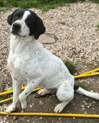 Micky 1 anno taglia media