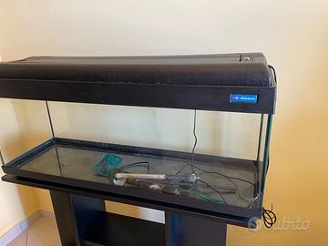 Acquario Advance (100x45x30cm) (Mobile Incluso)