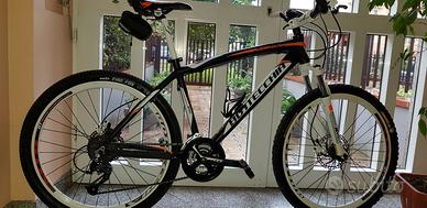 Bottecchia fx 520