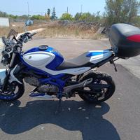 Suzuki SFV Gladius 650 - 2011