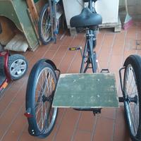 bicicletta a tre ruote