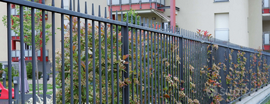 Recinzione simply con punta conica in ferro