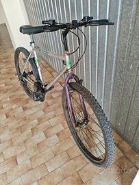 Mountain bike 24 pollici 