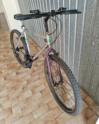 Mountain bike 24 pollici 