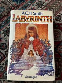 Libro raro  Labirinth