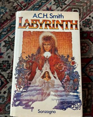 Libro raro  Labirinth