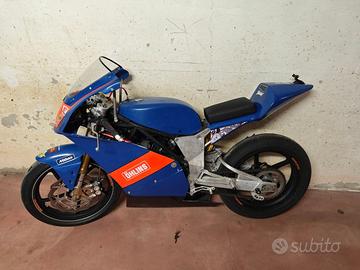 METRAKIT PREGP MINIGP 50 70 125 PITBIKE