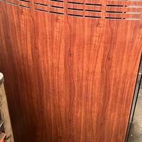 Termostufa a pellet Ungaro