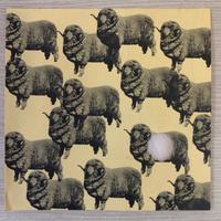 Vintage Ermanegildo Zegna Tropy pubblicita' 1963