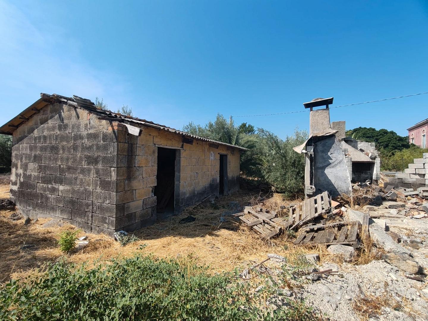 Uliveto con caseggiati a Paternò - Vista 5